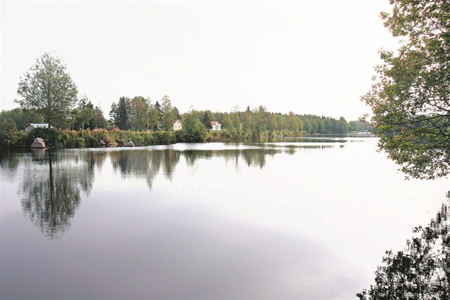 Perho å.